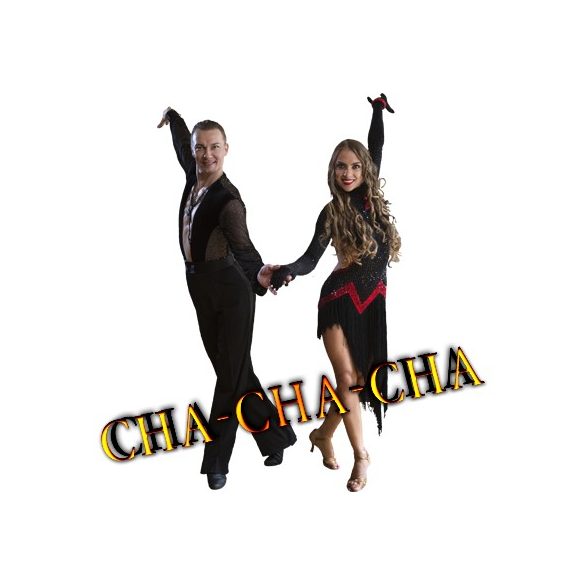 TÁNCISKOLA TATABÁNYA - Tánctanfolyam Tatabánya