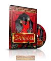 Tangó II. - TÁNCOKTATÓ DVD Tangó II. - TÁNCOKTATÓ DVD